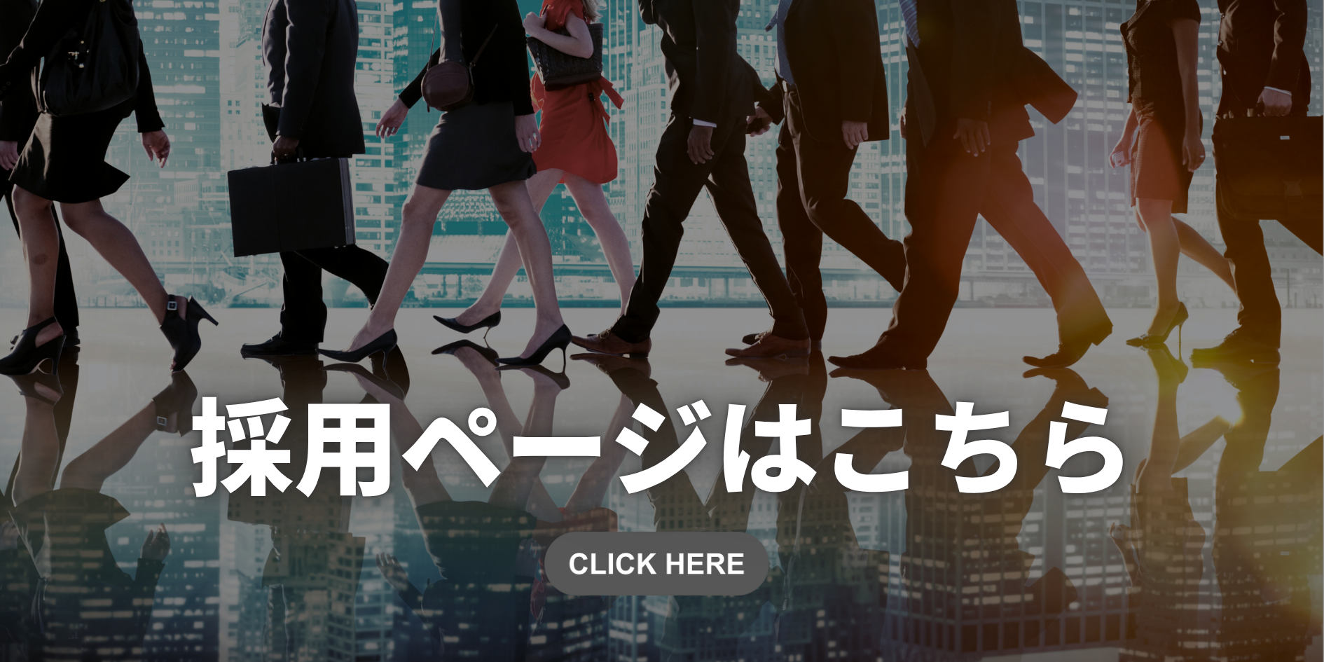 丹羽税理士事務所の採用サイト